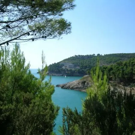 I Delfini Di Pugnochiuso *