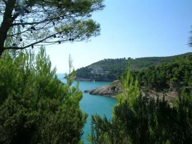 I Delfini Di Pugnochiuso *